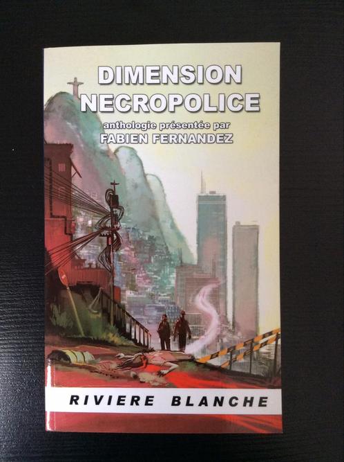 Dimension necropolis, Livres, Essais, Chroniques & Interviews, Comme neuf