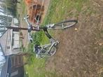 Elektrische fiets, Ophalen, Gebruikt, Batavus, 51 tot 55 cm