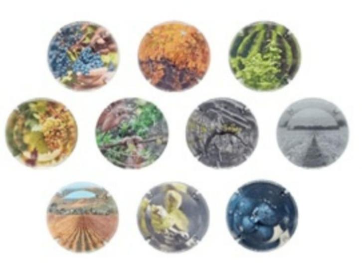 Champagne capsules - Generieken La vigne (GA 105), Verzamelen, Complete verzamelingen en Collecties, Verzenden