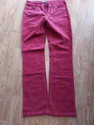 Dames broek beschikbaar voor biedingen