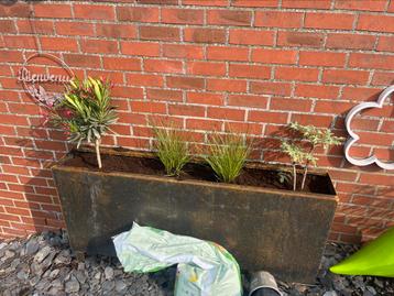 Corten plantenbak beschikbaar voor biedingen