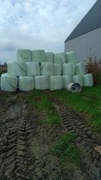 Maïsbalen, Zakelijke goederen, Landbouw | Veevoer, Ophalen