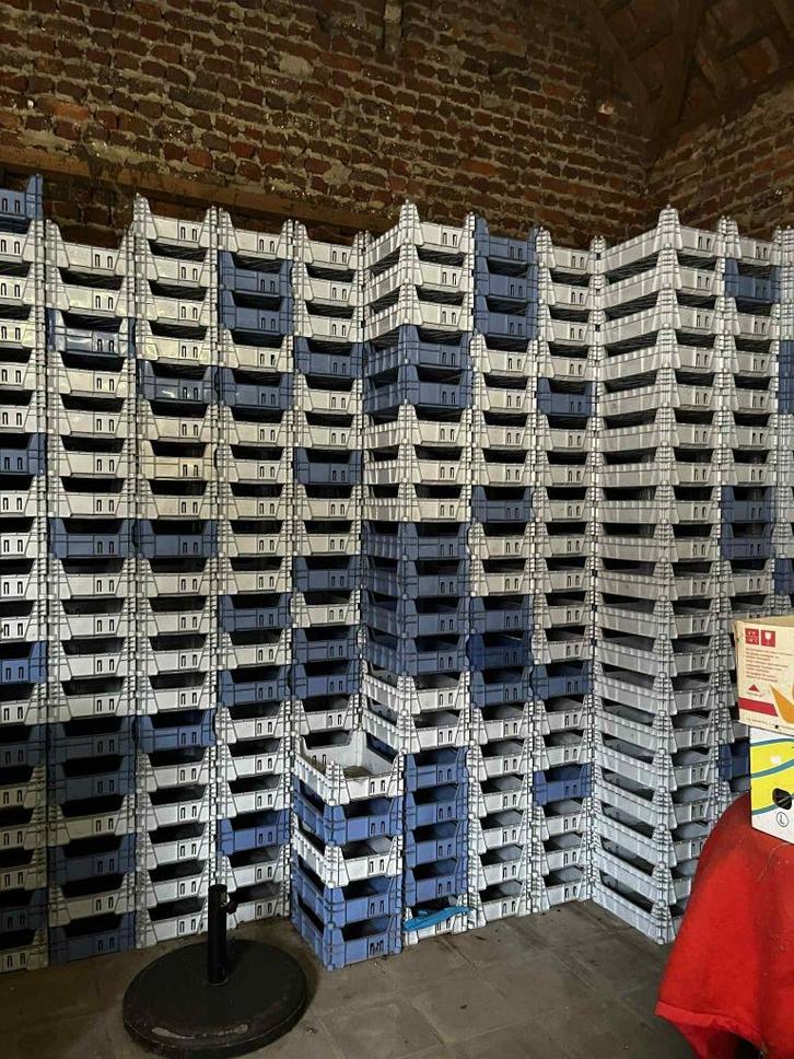 Groentenkistjes 30x40cm, Tuin en Terras, Bloembakken en Plantenbakken, Gebruikt, Kunststof, Binnen, Tuin, Minder dan 30 cm, Minder dan 60 cm