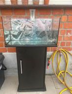aquarium 60 lt., Dieren en Toebehoren, Vissen | Aquaria en Toebehoren, Ophalen, Zo goed als nieuw