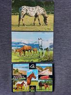 3 postkaarten met paarden, Collections, Cartes postales | Animaux, Envoi