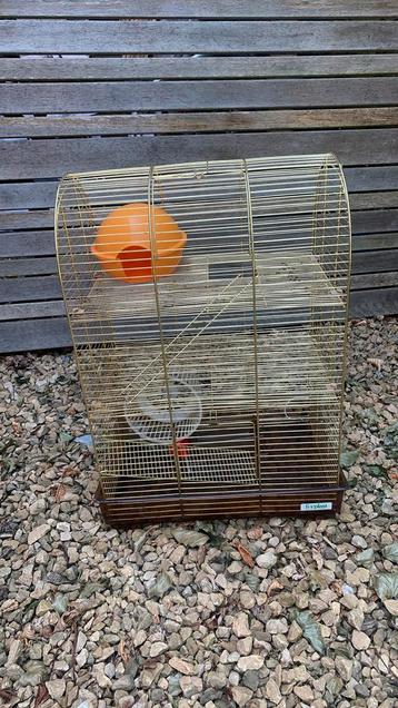 Cage pour hamster, Enlèvement, Utilisé