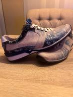 Floris van Bommel Sneakers Maat 43, Envoi, Baskets