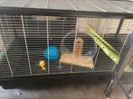 Grote hamsterkooi, Dieren en Toebehoren, Ophalen, Zo goed als nieuw