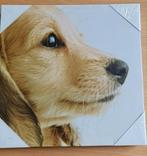 Canvas / Foto : hond Golden retriever, Nieuw, Ophalen of Verzenden