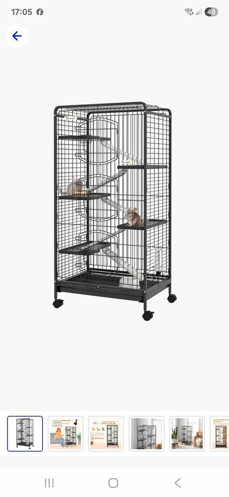 Knaagdieren kooi NIEUW, Dieren en Toebehoren, Knaagdieren en Konijnen | Hokken en Kooien, Nieuw, Kooi, 90 cm of meer, Cavia, Chinchilla