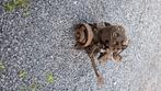 Cushman husky 17M8-1, Motoren, Ophalen, Gebruikt