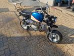 Skyteam 125cc moto, A1, replica van Honda Monkey/Gorrila, Motoren, Particulier