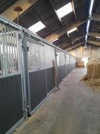 Paardenstallen te huur met weide toegang, Mise à l'étable, 4 chevaux ou poneys ou plus