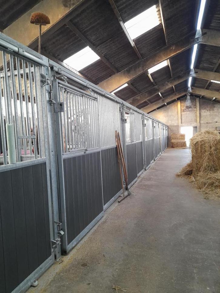 Paardenstallen te huur met toegang tot weide, Dieren en Toebehoren, Stalling en Weidegang, Stalling, 4 paarden of pony's of meer