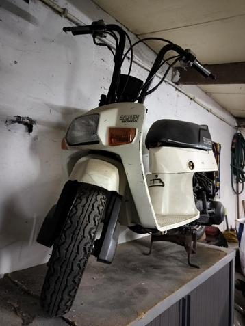 Honda squash beschikbaar voor biedingen