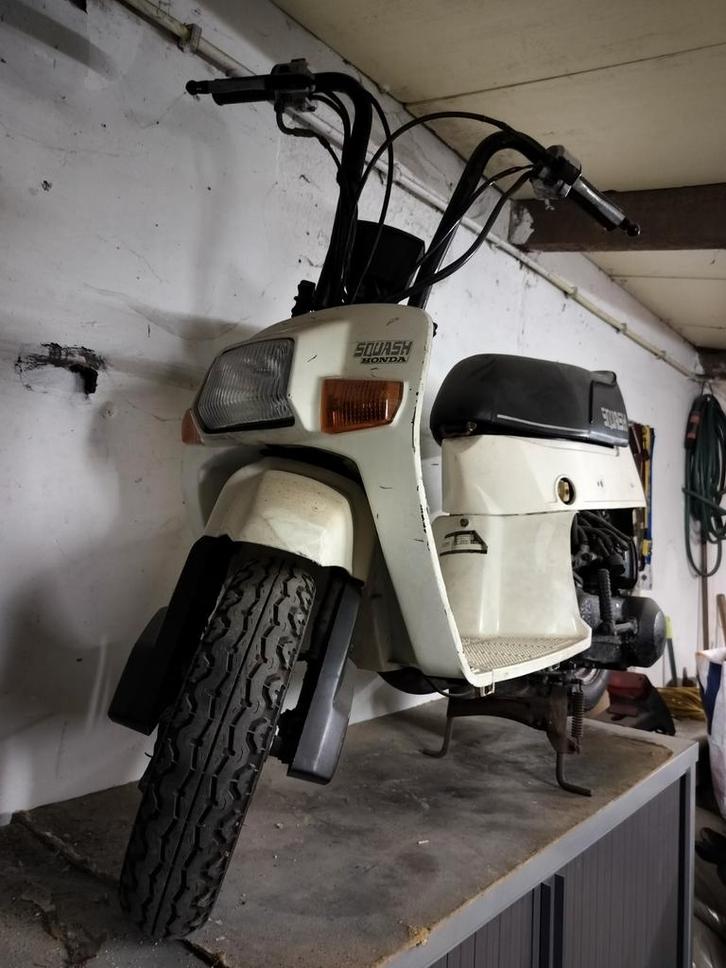 Honda squash, Fietsen en Brommers, Brommers | Honda, Gebruikt, Overige modellen, Klasse B (45 km/u), Ophalen