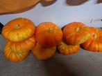 Pompoenen, Ophalen
