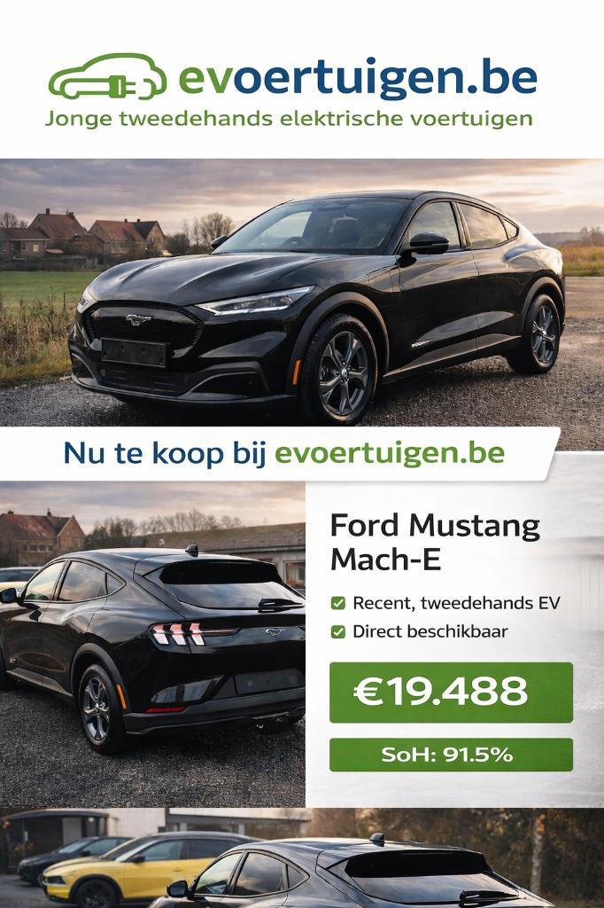 Ford Mustang Mach-E  |  75,7 kWh | 296pk | MET GARANTIE, Auto's, Ford, Bedrijf, Te koop, Mustang, Achteruitrijcamera, Airbags