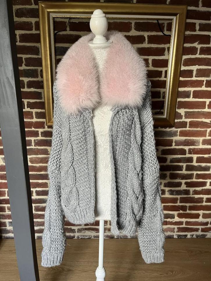 Cardigan oversize col fourrure renard rose M, Vêtements | Femmes, Vestes | Hiver, Porté, Rose, Enlèvement ou Envoi
