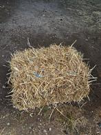 Kleine balen tarwestro, Dieren en Toebehoren, Ophalen, Vee