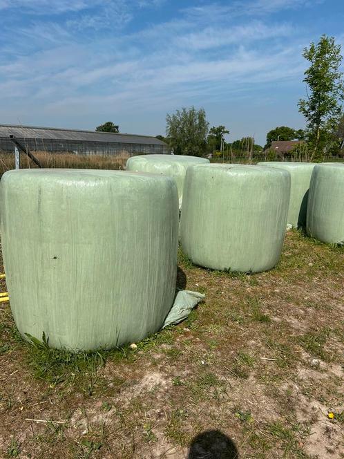 Grote midi balen 2024, Zakelijke goederen, Landbouw | Veevoer, Ophalen