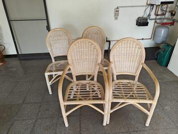 stoelen in rotan beschikbaar voor biedingen