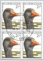 1972 Grauwe gans, Verzenden