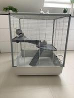 Kooi knaagdieren Ferplast - NIEUW, Dieren en Toebehoren, Ophalen, Kooi, 60 tot 90 cm, Zo goed als nieuw
