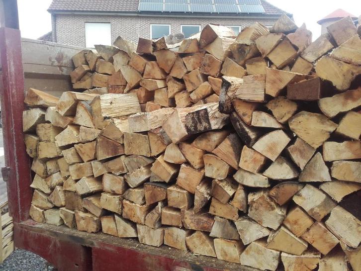Brandhout beuk,eik,es en populier te koop, Tuin en Terras, Brandhout, Blokken, Beukenhout, 6 m³ of meer, Ophalen