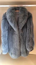 Bondjas Zilvervos, Ophalen, Gedragen, Maat 42/44 (L), Grijs