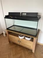 Aquarium complet 250L + meuble, Dieren en Toebehoren, Ophalen