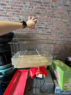 Kleine vogelkooi, Animaux & Accessoires, Oiseaux | Cages & Volières, Comme neuf, Enlèvement ou Envoi
