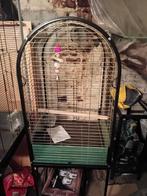 Cage perroquet, Neuf, Cage à oiseaux
