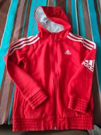 Vest Adidas, Ophalen, Zo goed als nieuw, Adidas, Trui of Vest