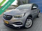 Opel Grandland X 1.2 Turbo / 1ste eigenaar / 2018 / zeer net, Achat, 1273 kg, Entreprise, Détection des panneaux routiers