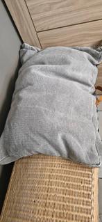 Honden kussen groot, Enlèvement