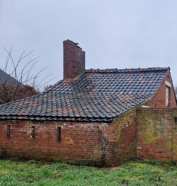 Dakpannen 40 m² beschikbaar voor biedingen