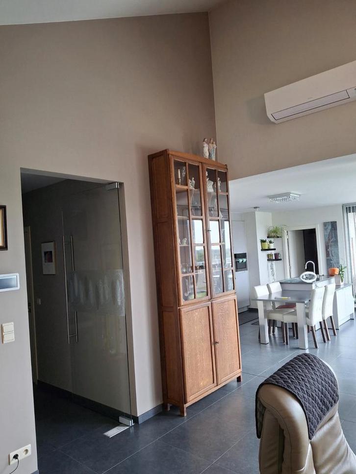 Oude labo- of klaskast, Antiek en Kunst, Antiek | Meubels | Bedden, Ophalen