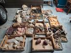 groot lot/partij mineralen, Verzamelen, Mineralen en Fossielen, Ophalen