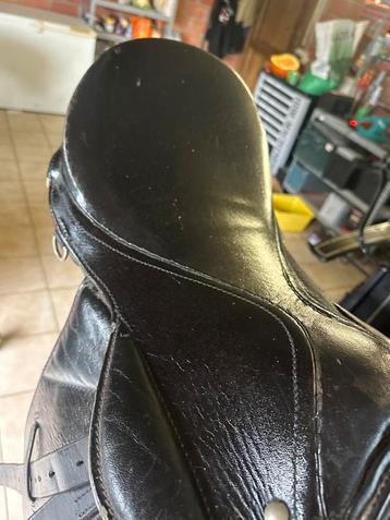 Lord Expert Zadel beschikbaar voor biedingen