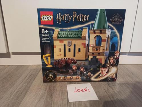 LEGO 76387 Harry Potter  Hogwarts: Fluffy Encounter NIEUW, Kinderen en Baby's, Speelgoed | Duplo en Lego, Nieuw, Lego, Complete set