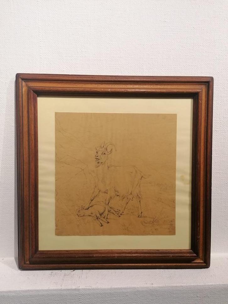 Eugène VERBOECKHOVEN (1798/99-1881) Originele potloodtekenin, Antiek en Kunst, Kunst | Tekeningen en Fotografie, Ophalen of Verzenden