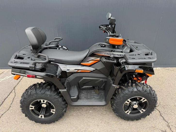 T-Lander 300 met vier motoren, Motoren, Quads en Trikes, 12 t/m 35 kW, 1 cilinder, Ophalen