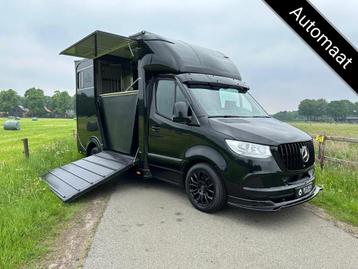 Mercedes-Benz Sprinter 317 AMG 2-paards paardenvrachtwagen B