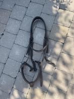 Longeerkopstuk, Enlèvement ou Envoi, Utilisé, Autres espèces