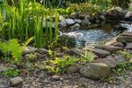 Gezocht: vijvermateriaal, pvc buizen, stenen, planten, ..., Ophalen, Gebruikt, Overige typen