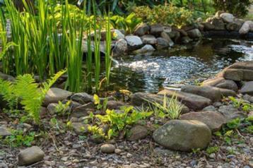 Gezocht: vijvermateriaal, pvc buizen, stenen, planten, ..., Enlèvement, Utilisé, Autres types