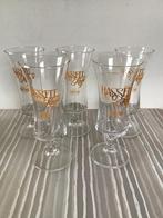 5 verres Hasselt Kaffé, Ophalen of Verzenden, Zo goed als nieuw
