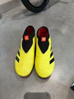 Adidas Predator veterloos maat 37 1/3, Ophalen, Gebruikt, Schoenen