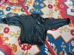 Lacoste vest voor kinderen en heren, Ophalen, Zo goed als nieuw